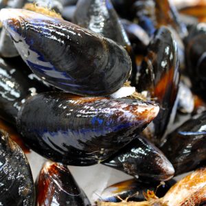 Fresh Mussels