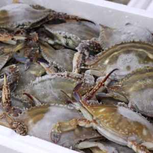 Fresh Whole Crab