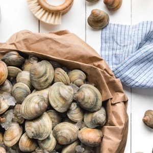Fresh Clams