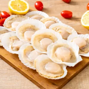 Fresh Sea Scallops