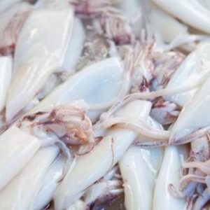 Fresh Cleaned Squid